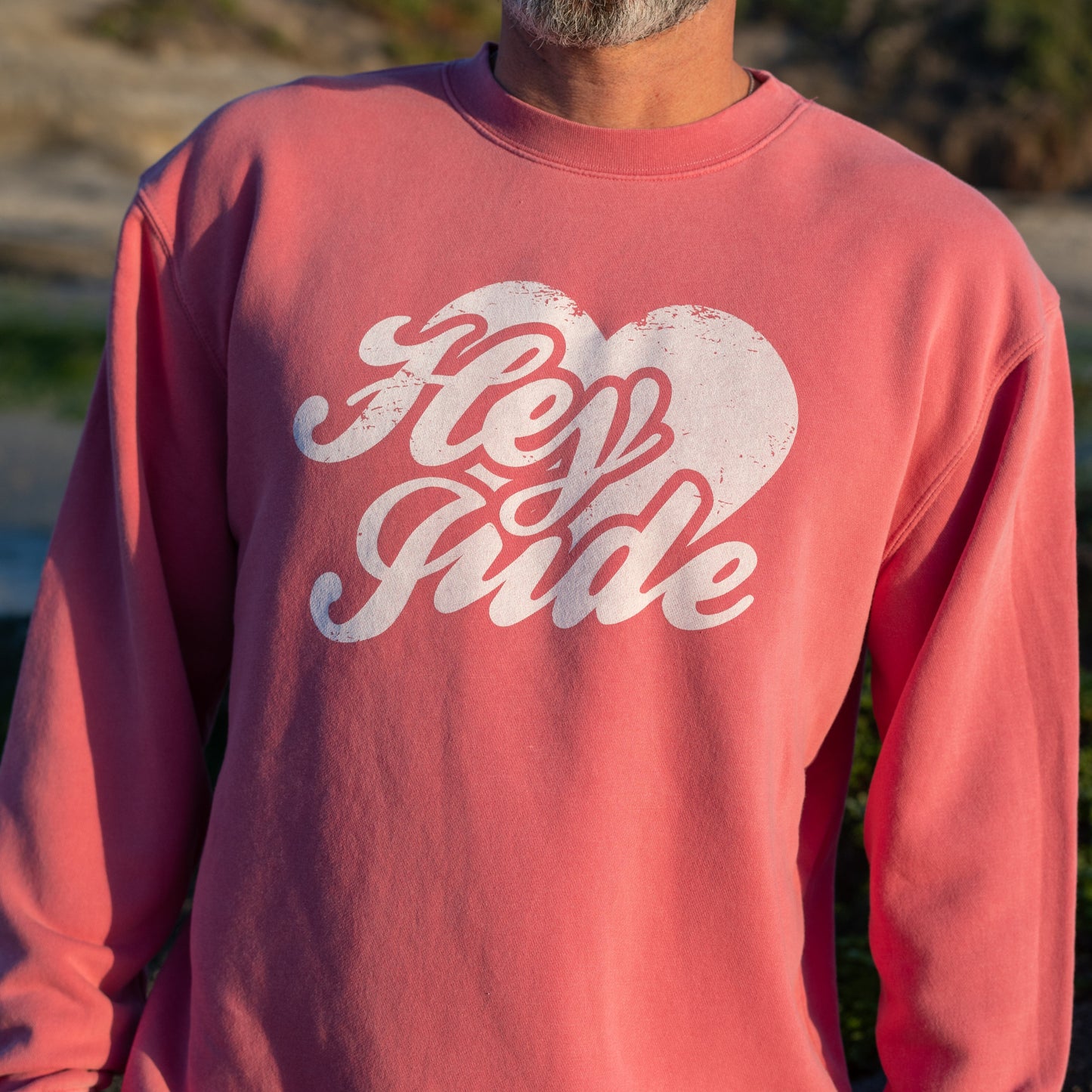 The Beatles Sweatshirt Pink Hey Jude - Section 119