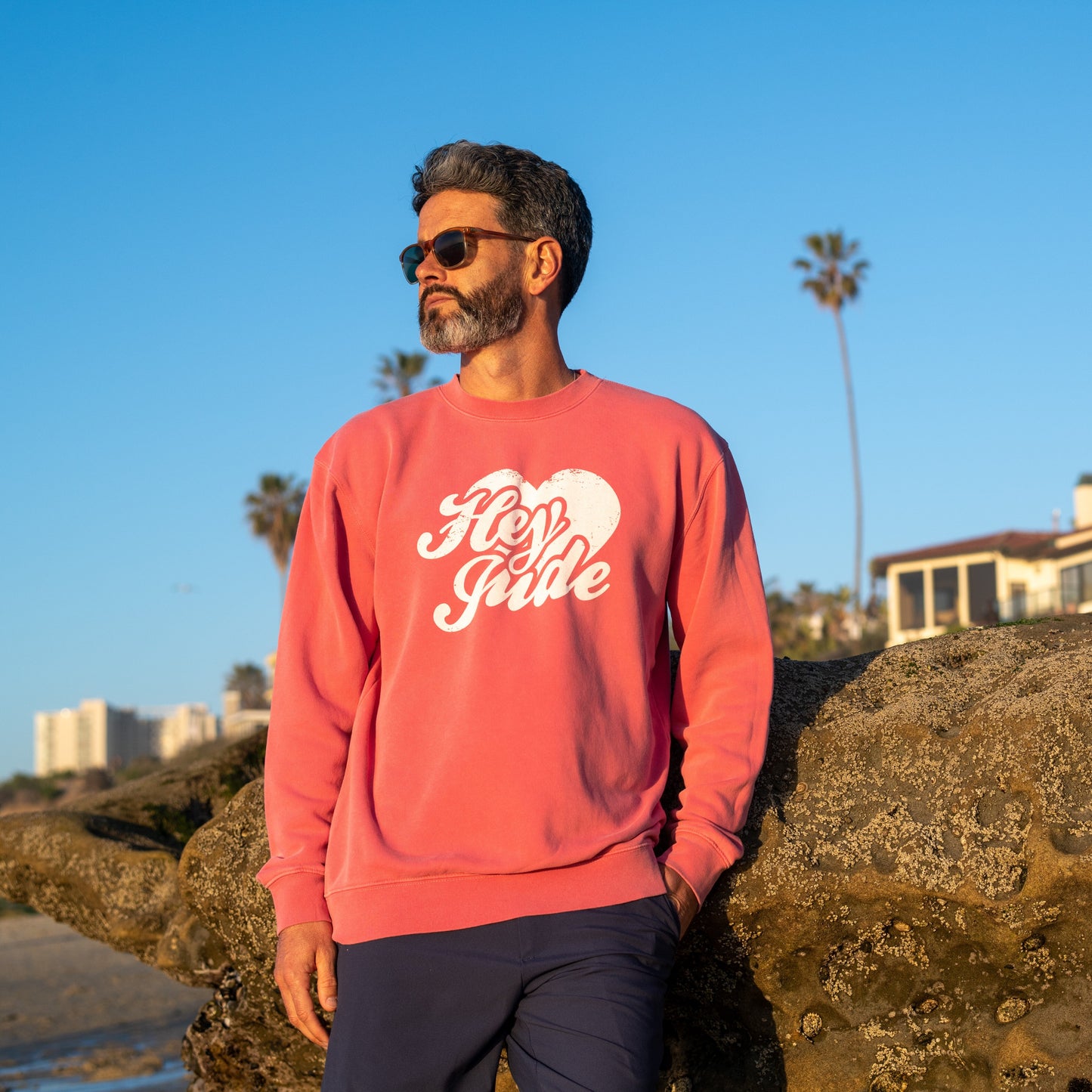 The Beatles Sweatshirt Pink Hey Jude - Section 119