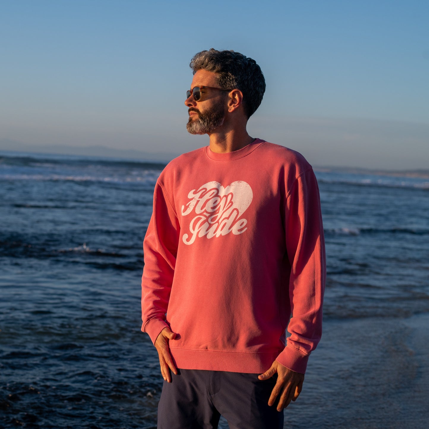 The Beatles Sweatshirt Pink Hey Jude - Section 119
