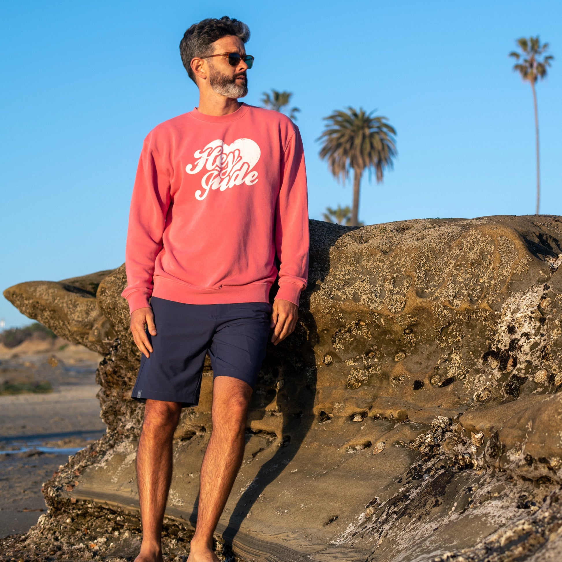 The Beatles Sweatshirt Pink Hey Jude - Section 119