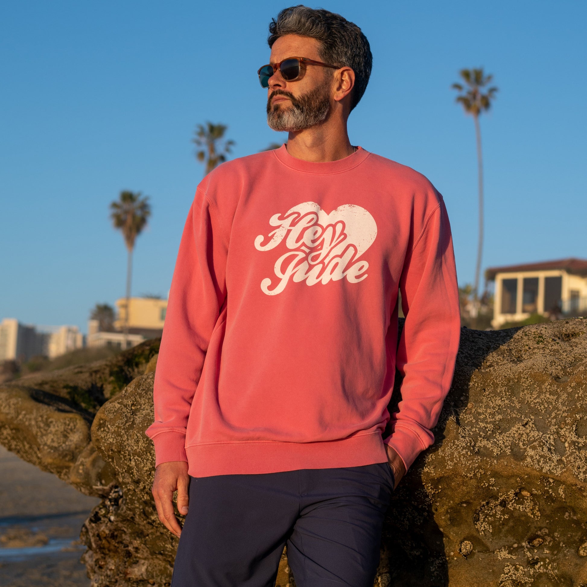 The Beatles Sweatshirt Pink Hey Jude - Section 119