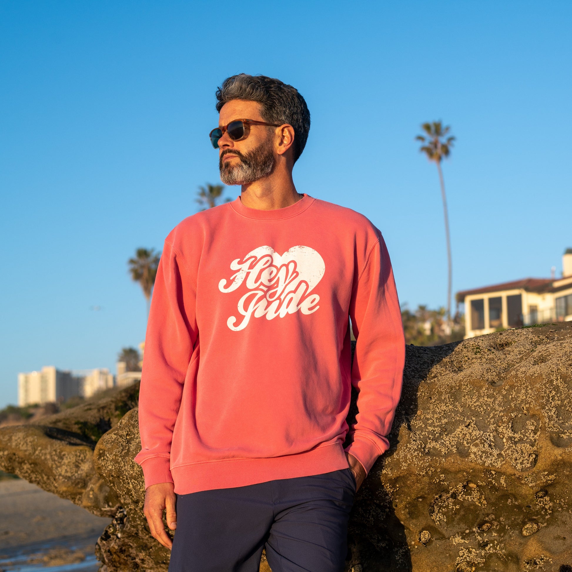 The Beatles Sweatshirt Pink Hey Jude - Section 119